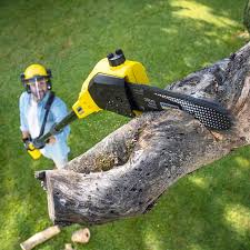 Best Commercial Tree Services  in Orting, WA