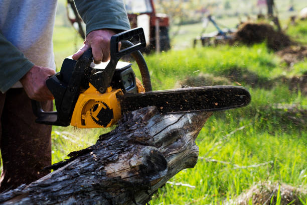  Orting, WA Tree Care Pros